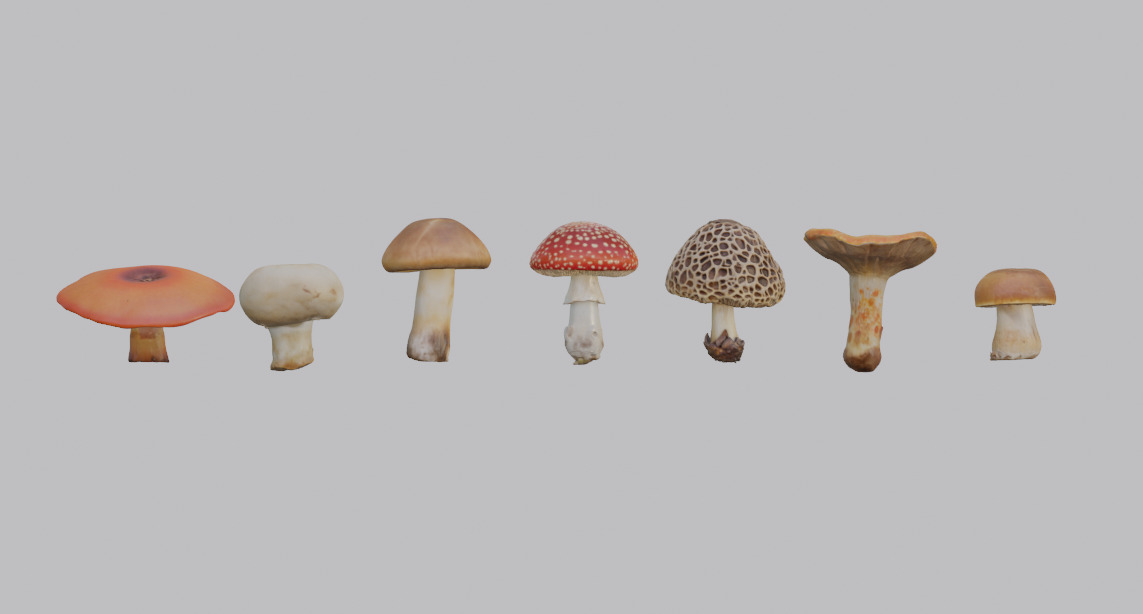 Mushroom Pack 3D model_18