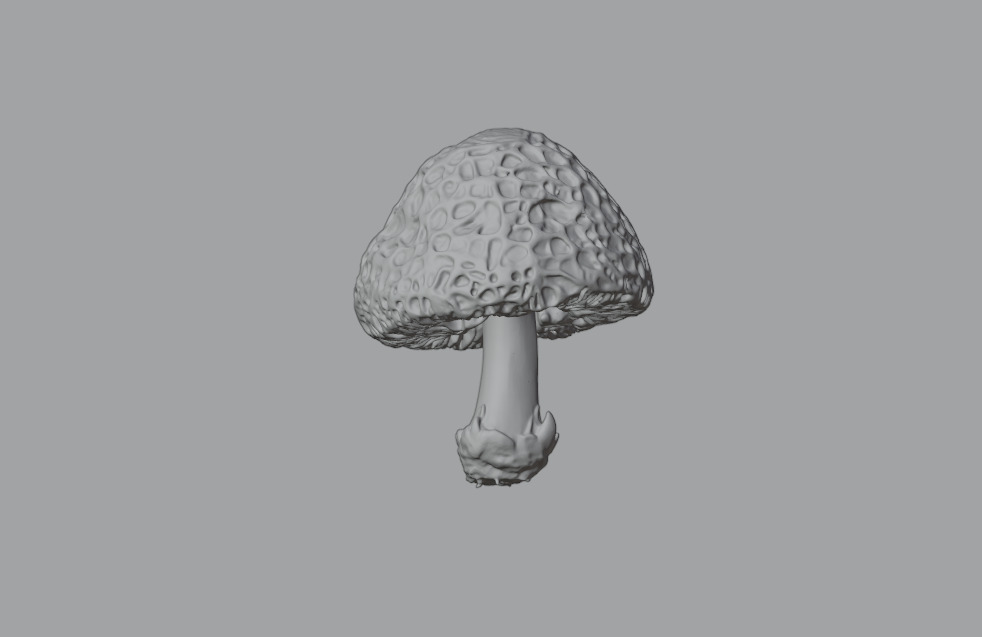 Mushroom Pack 3D model_9