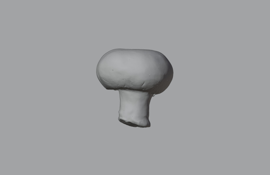 Mushroom Pack 3D model_15