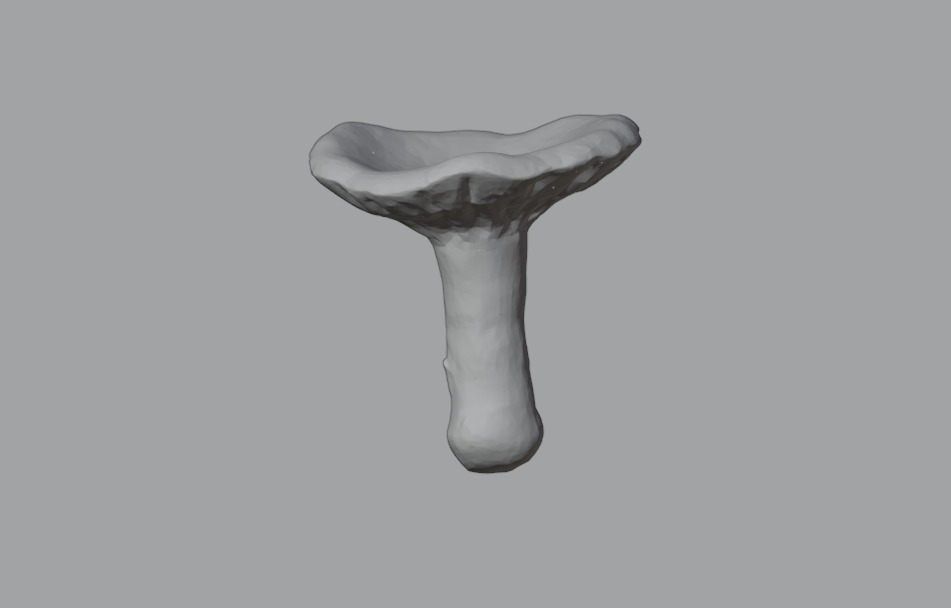 Mushroom Pack 3D model_7