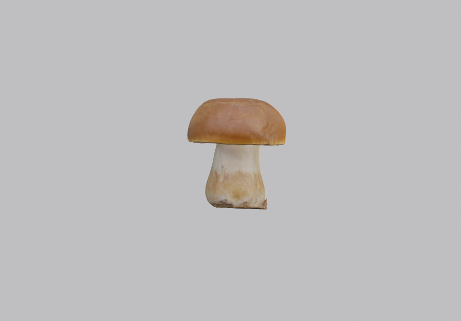 Mushroom Pack 3D model_4