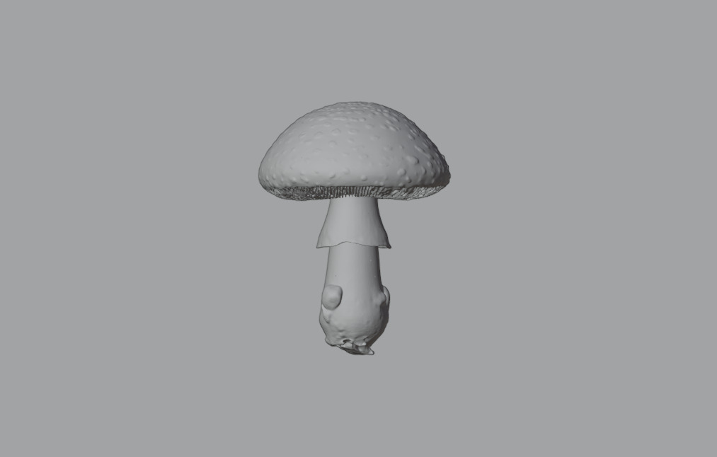 Mushroom Pack 3D model_11