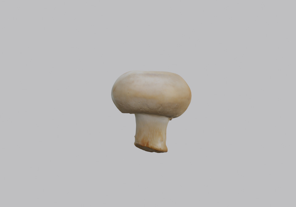Mushroom Pack 3D model_14