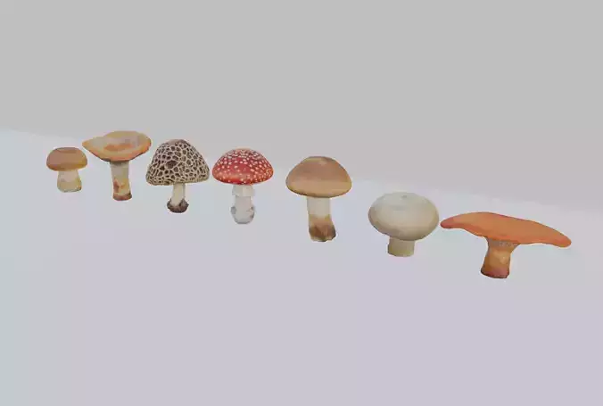 Mushroom Pack 3D model