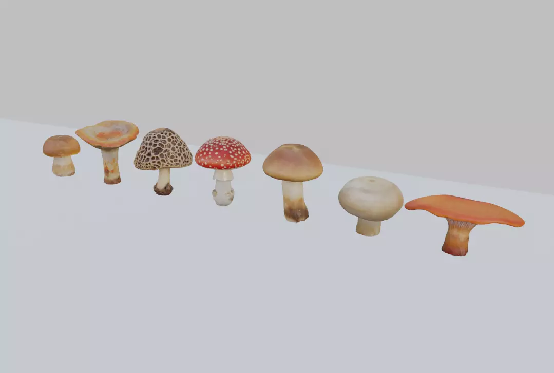 Mushroom Pack 3D model_0