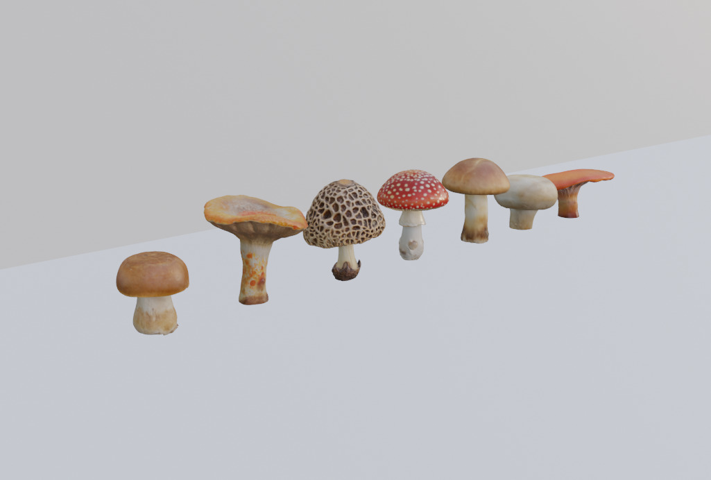 Mushroom Pack 3D model_1