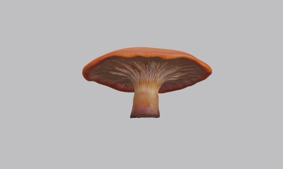 Mushroom Pack 3D model_16