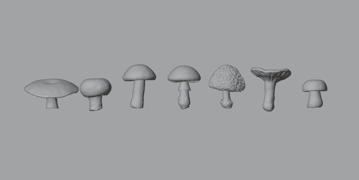 Mushroom Pack 3D model_19