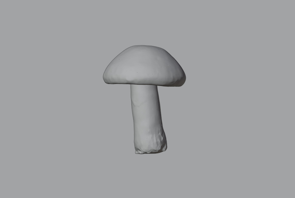 Mushroom Pack 3D model_13