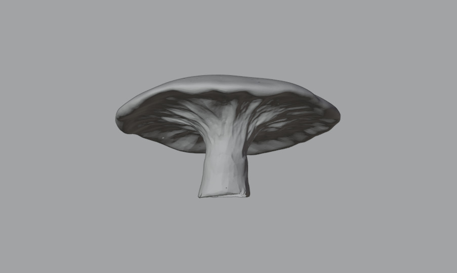 Mushroom Pack 3D model_17