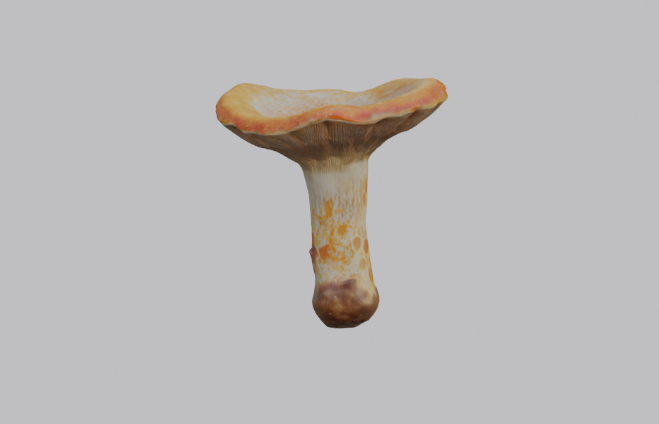 Mushroom Pack 3D model_6