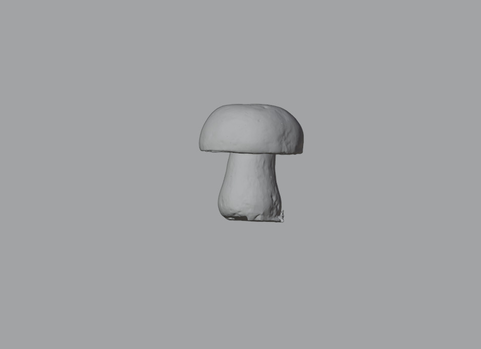 Mushroom Pack 3D model_5