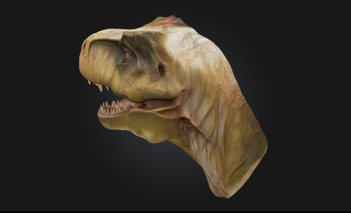 Tyrant Lizard King Ferocious Dinosaur Model 3D model_3