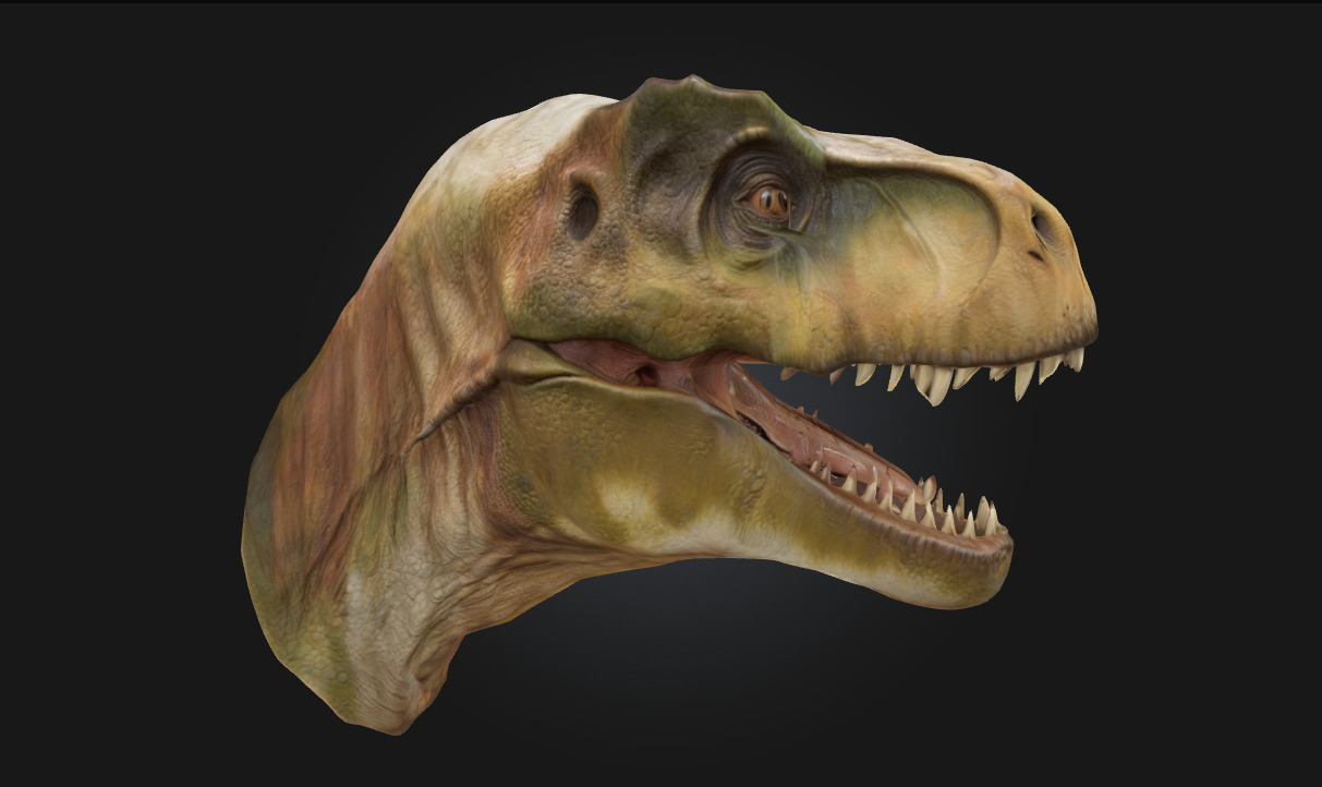 Tyrant Lizard King Ferocious Dinosaur Model 3D model_2