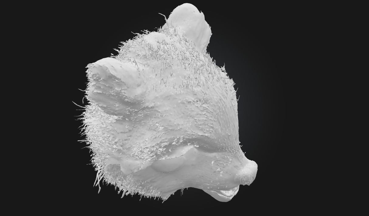 Ferocious Wolf Face Intense Animal Bust Model for Fantasy 3D model_7