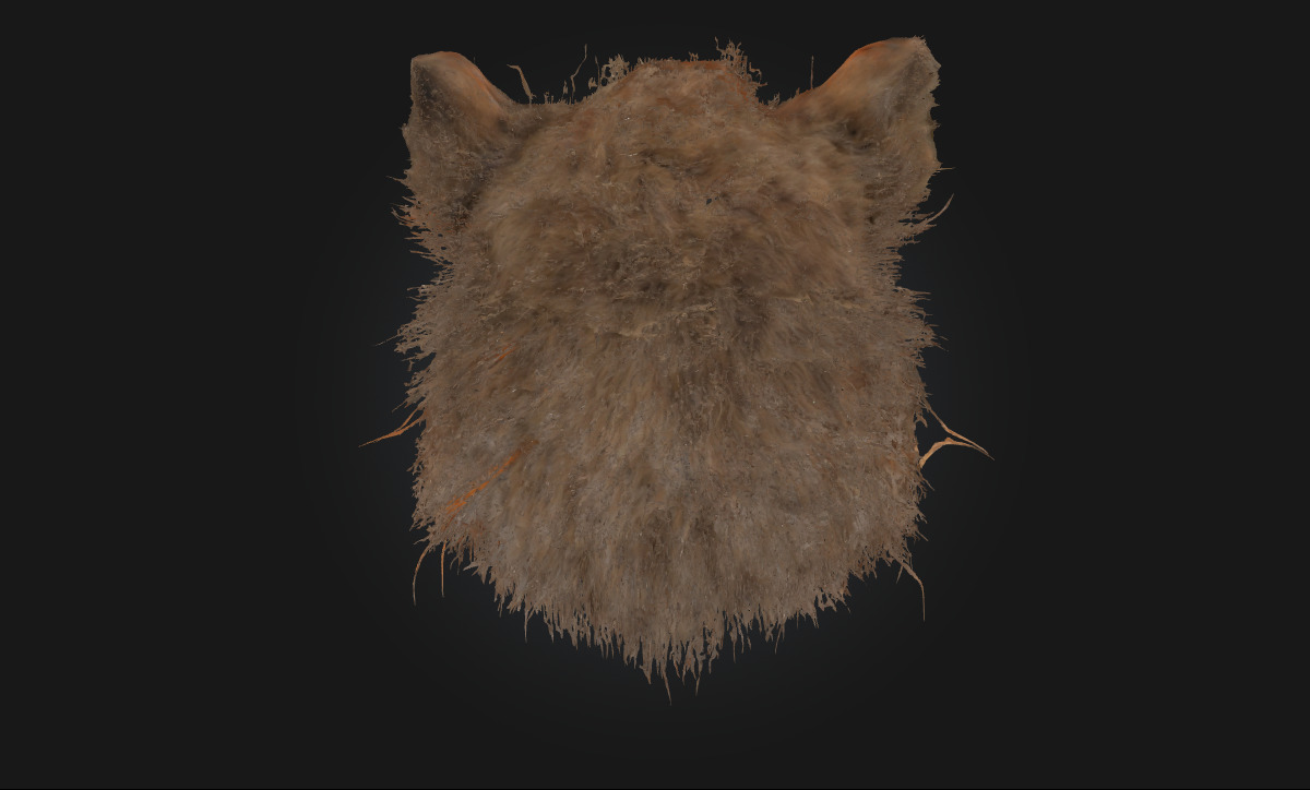 Ferocious Wolf Face Intense Animal Bust Model for Fantasy 3D model_2