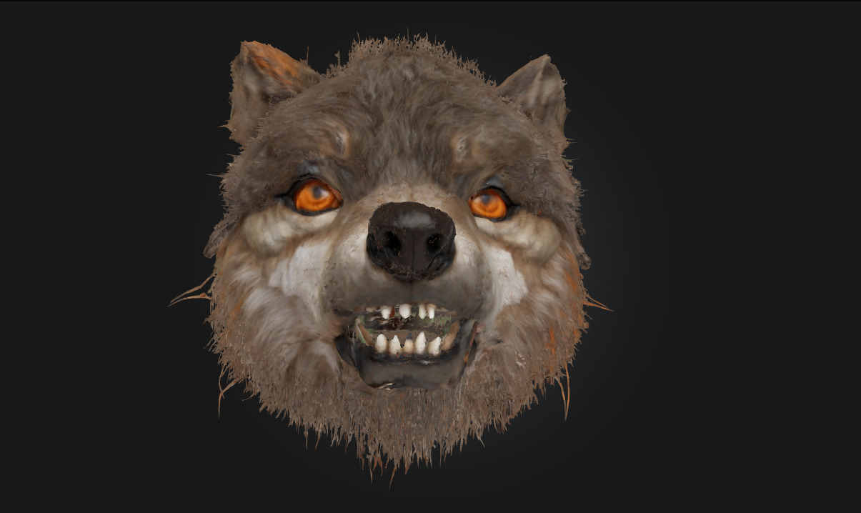 Ferocious Wolf Face Intense Animal Bust Model for Fantasy 3D model_4