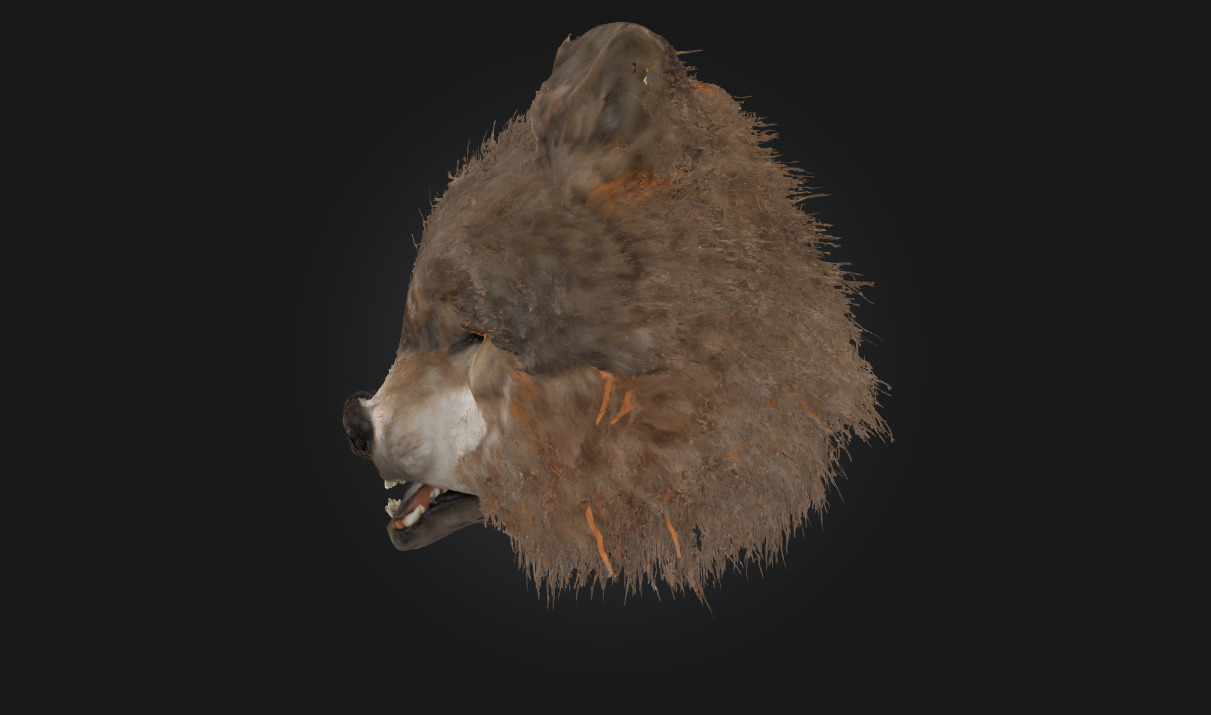 Ferocious Wolf Face Intense Animal Bust Model for Fantasy 3D model_1