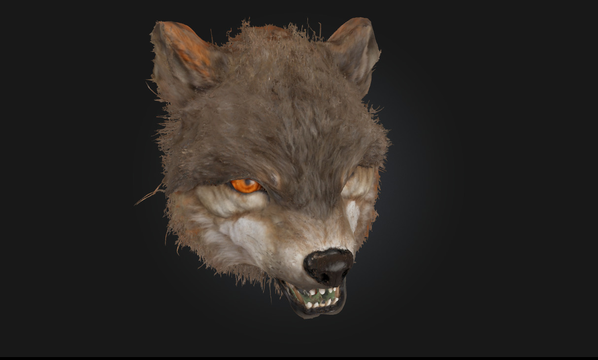 Ferocious Wolf Face Intense Animal Bust Model for Fantasy 3D model_3