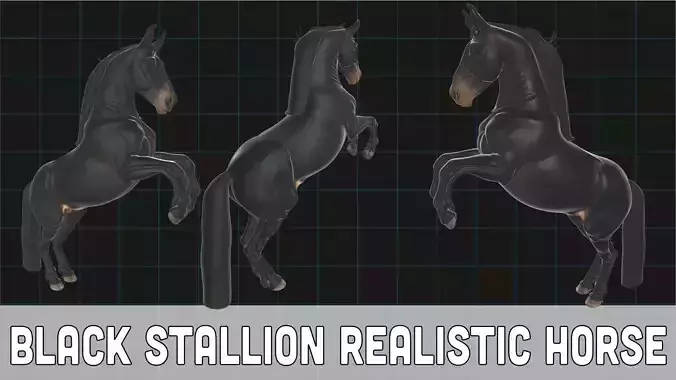 Black Stallion Realistic Horse Animal Character 3D model