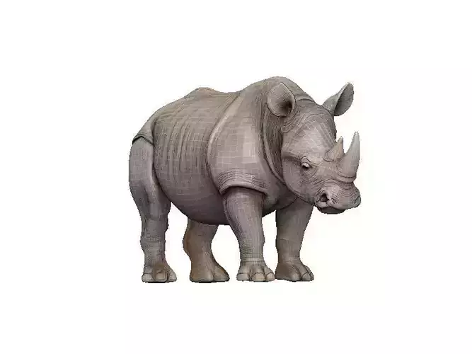 Rhino