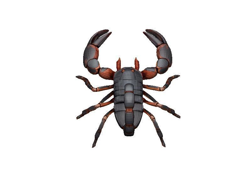 Scorpion Low-poly 3D model_4