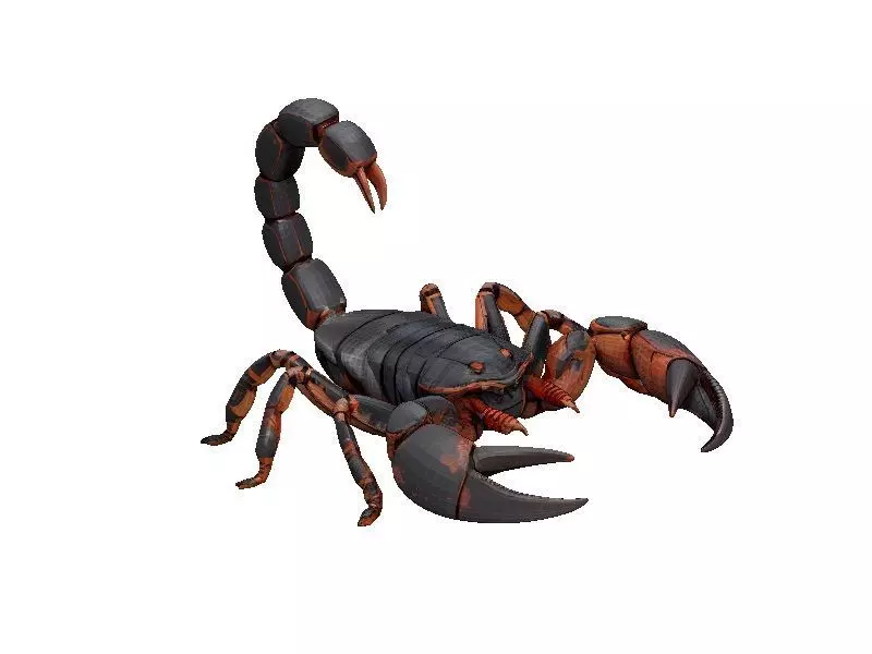 Scorpion Low-poly 3D model_0