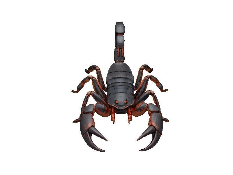 Scorpion Low-poly 3D model_1