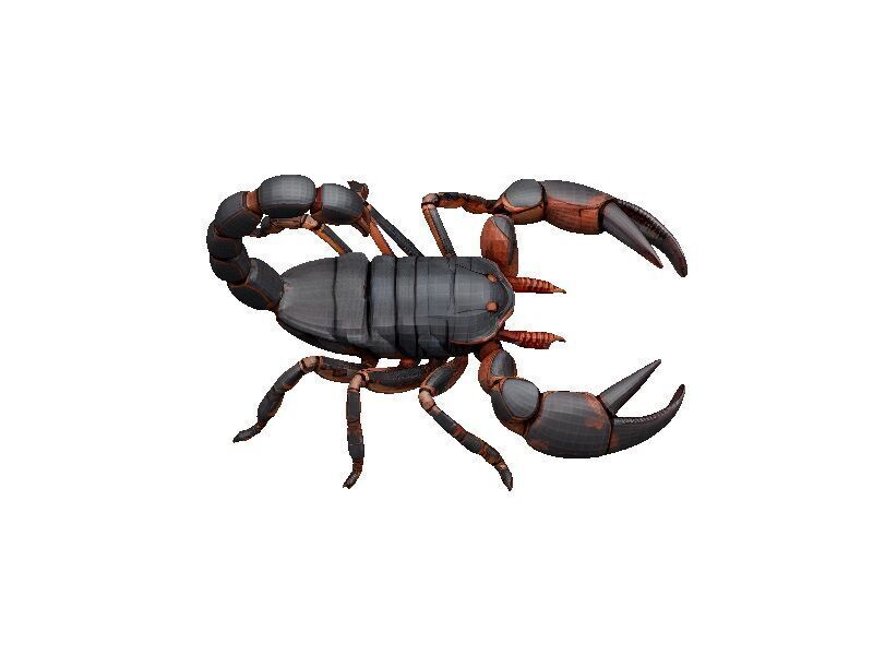 Scorpion Low-poly 3D model_5