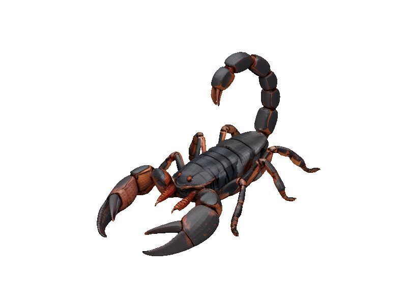 Scorpion Low-poly 3D model_2