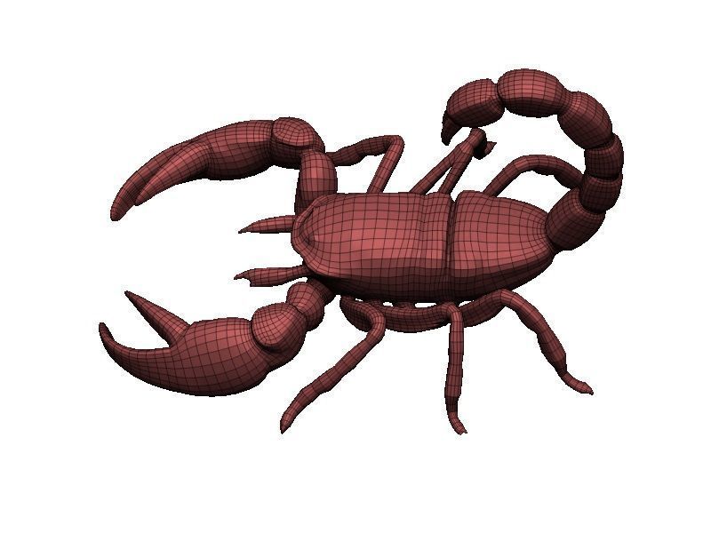 Scorpion Low-poly 3D model_8