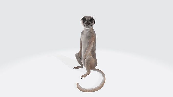 Meerkat 3D Model Ready to Print 3D print model