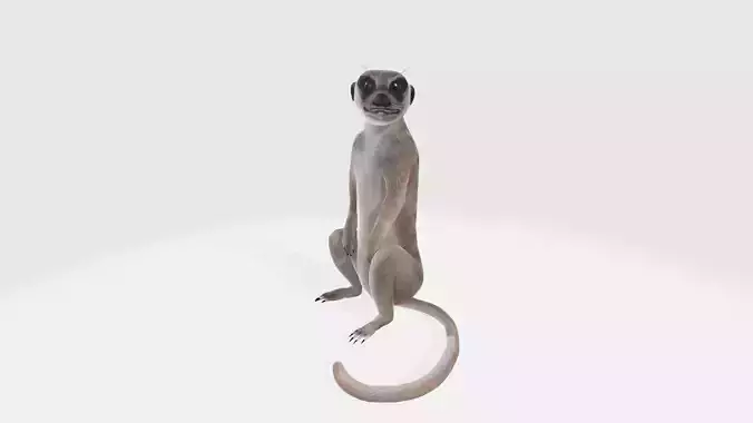 Meerkat 3D Model Ready to Print 3D print model