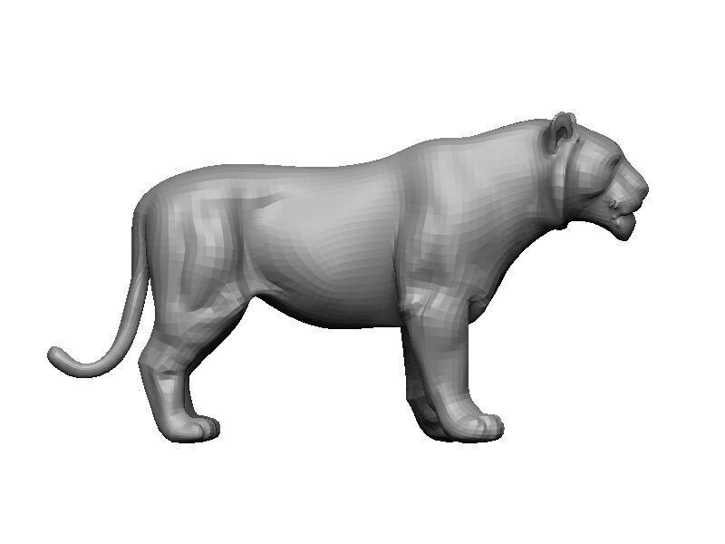 Tiger Low-poly 3D model_5