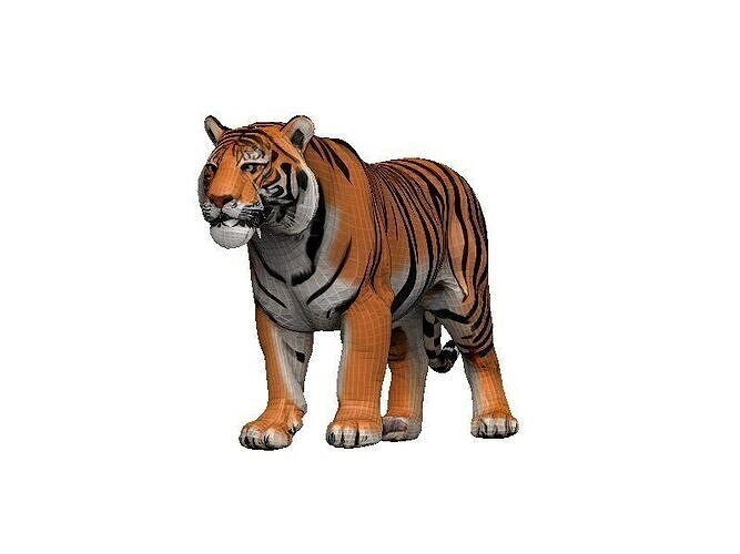 Tiger Low-poly 3D model
