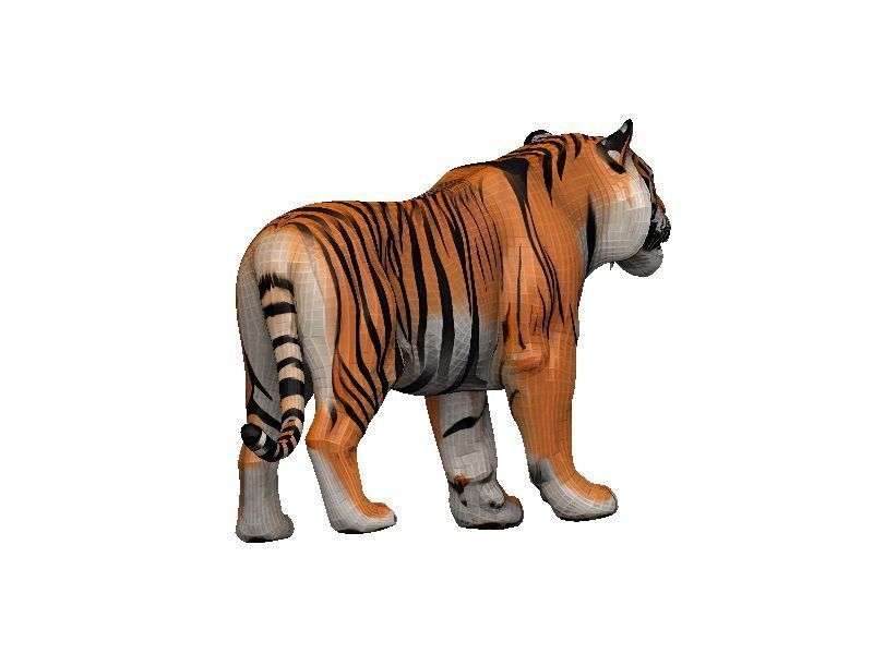 Tiger Low-poly 3D model_3