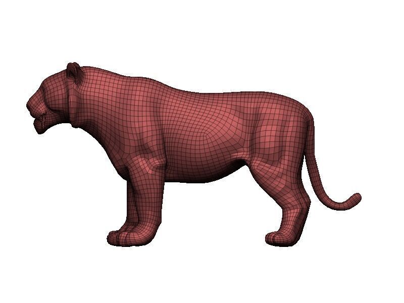 Tiger Low-poly 3D model_7