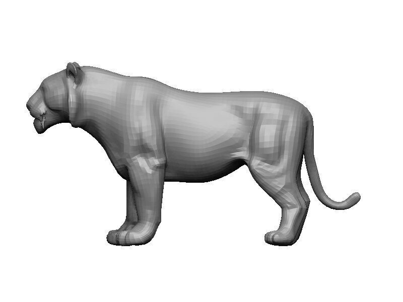 Tiger Low-poly 3D model_6