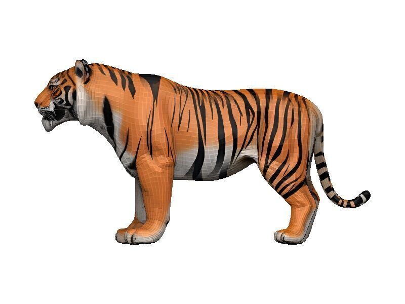 Tiger Low-poly 3D model_1