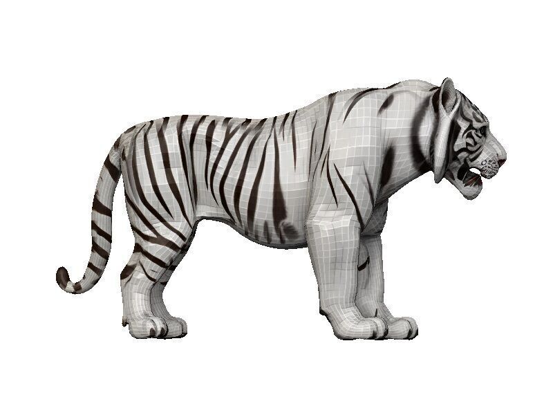 White Tiger Low-poly 3D model_6