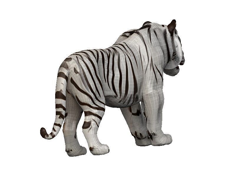 White Tiger Low-poly 3D model_5