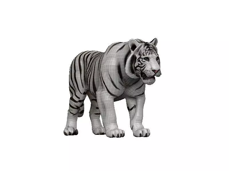 White Tiger Low-poly 3D model_0