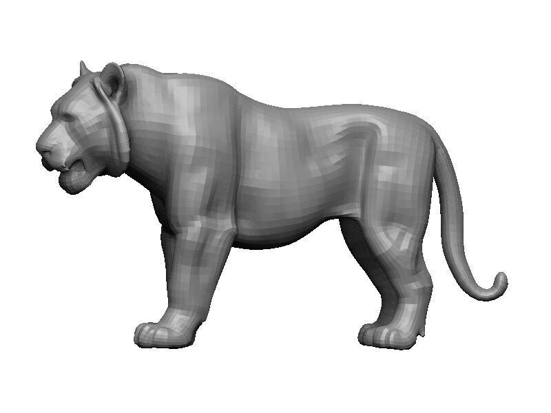 White Tiger Low-poly 3D model_9
