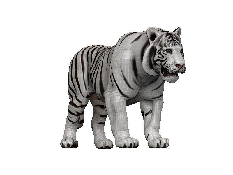 White Tiger Low-poly 3D model_7