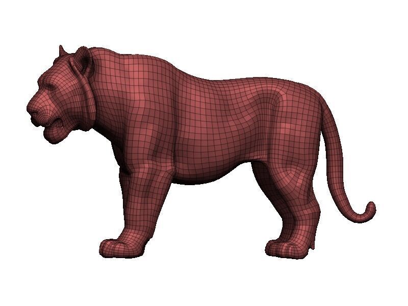 White Tiger Low-poly 3D model_10