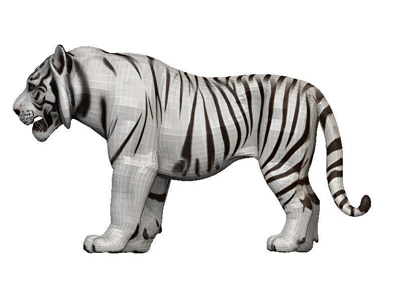 White Tiger Low-poly 3D model_3