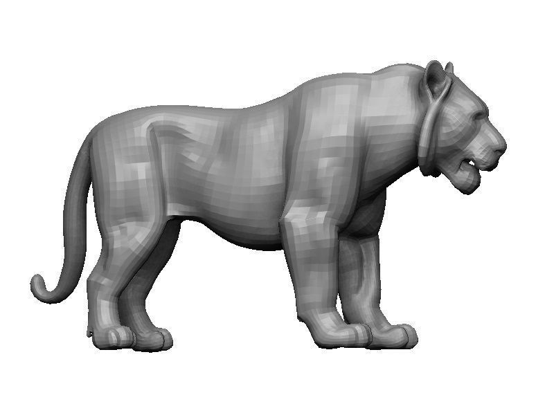 White Tiger Low-poly 3D model_8