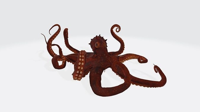 Octopus 3D Model Ready to Print 3D print model