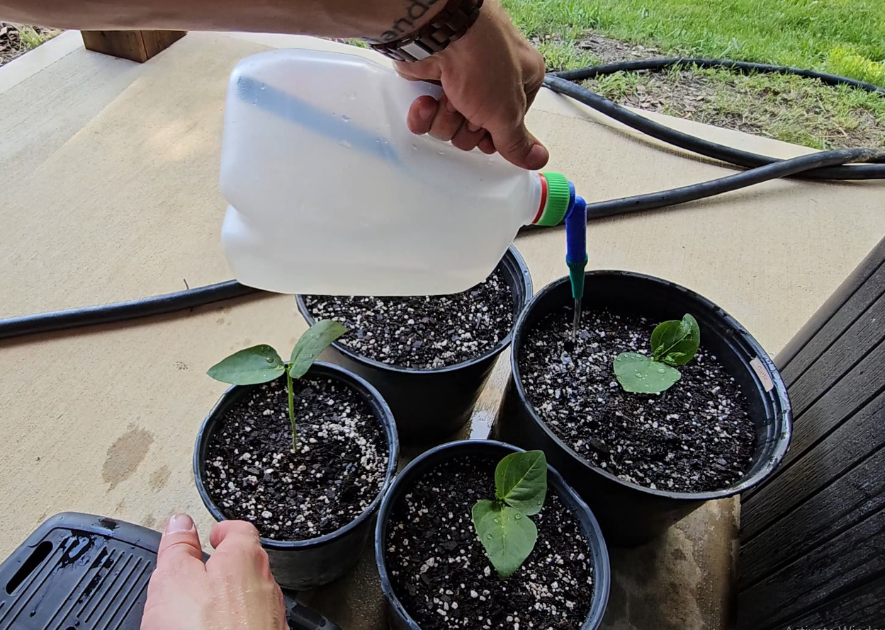 Gallon Jug Gardening Adapter 3D print model_5