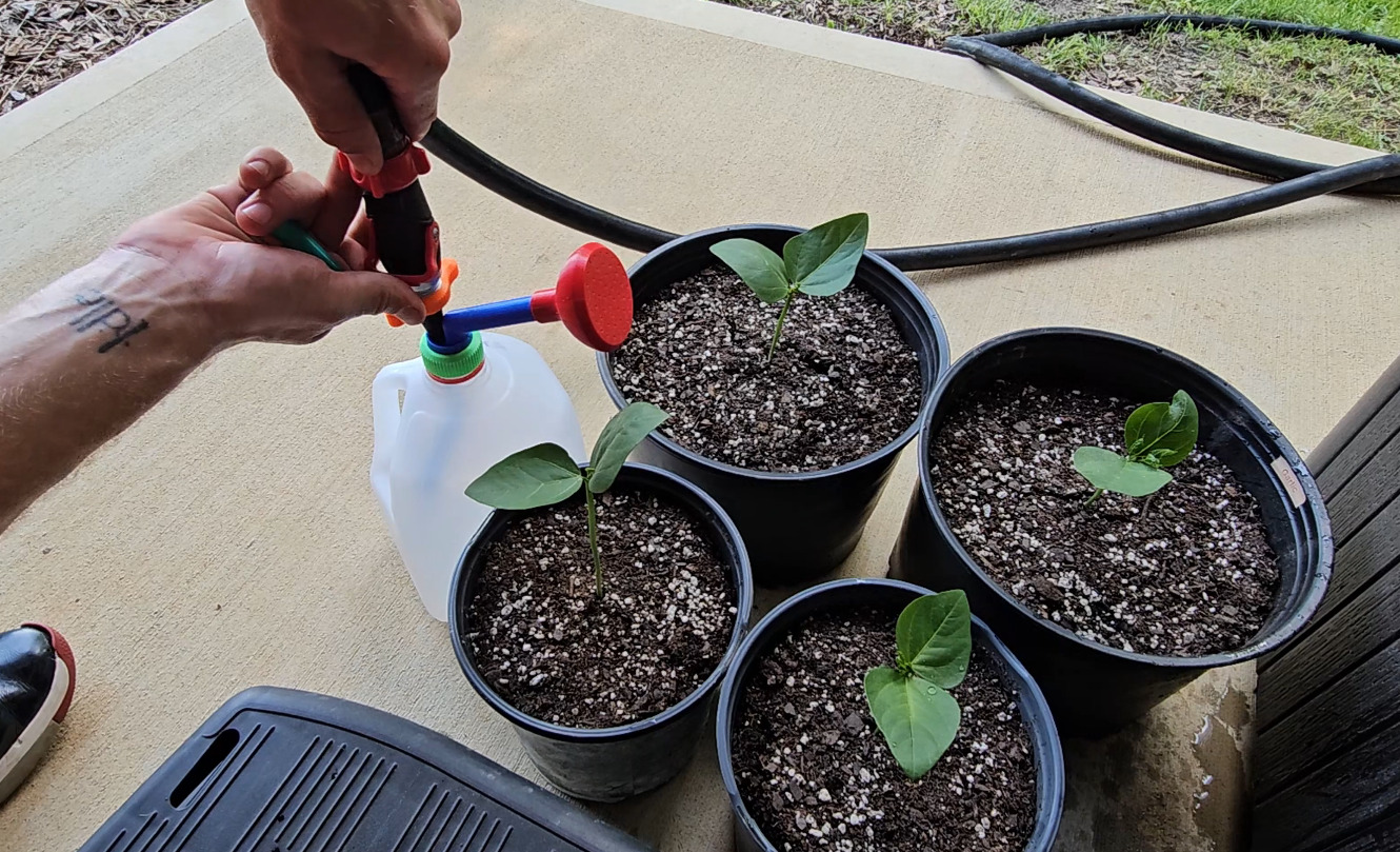 Gallon Jug Gardening Adapter 3D print model_3